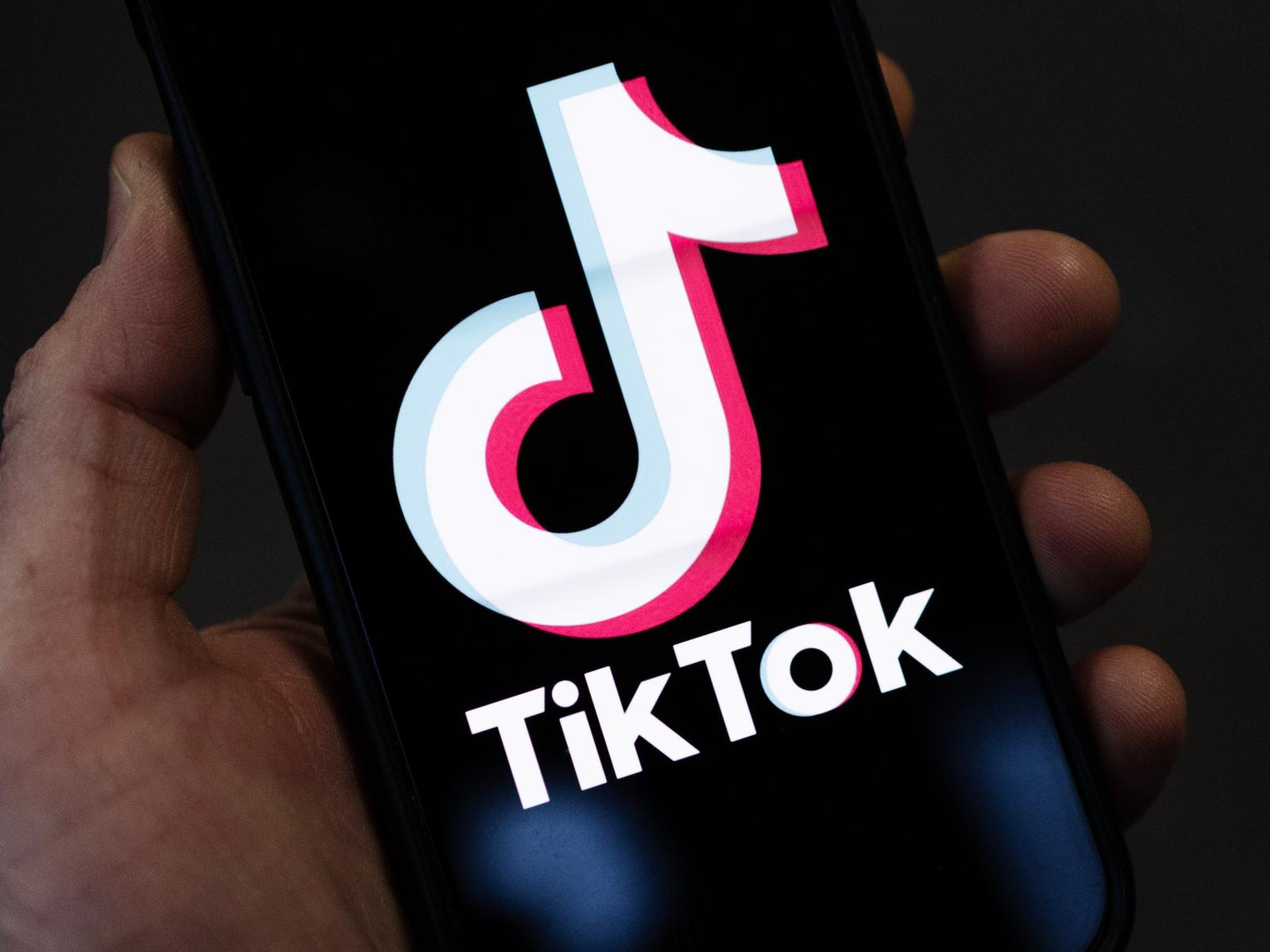 TikTok 信息查询